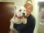 Robbie xx (Westie)