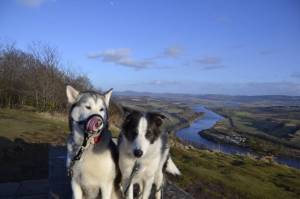 Second Chance Kennels