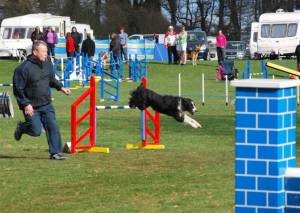 Second Chance Kennels