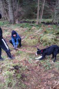 Second Chance Kennels