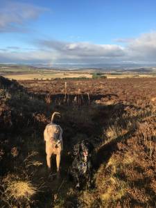 Second Chance Kennels