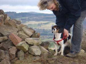 Second Chance Kennels