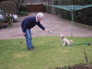 Wee Murphy the Jackadoodle