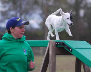 Second Chance Kennels