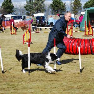 Second Chance Kennels