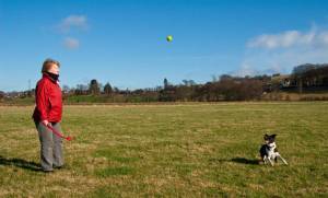 Second Chance Kennels