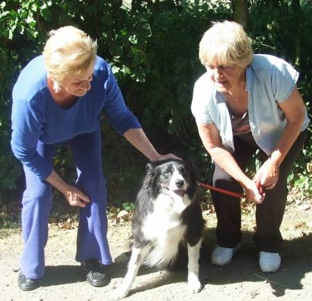 Second Chance Kennels