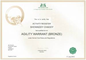 Chad Agility Star xx