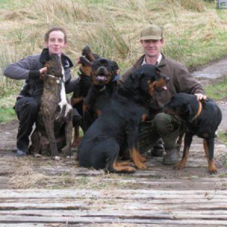 Jack,Jake,Tegan,Biddy & Boris