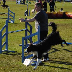 Second Chance Kennels