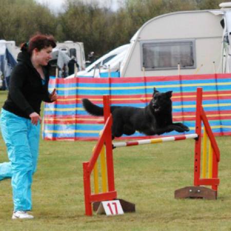 Second Chance Kennels