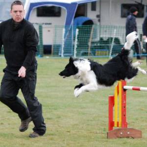 Second Chance Kennels