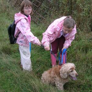 Second Chance Kennels