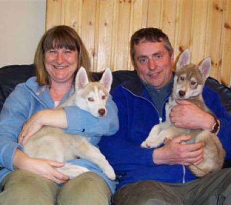 Husky Pups