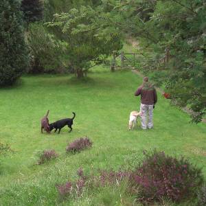 Second Chance Kennels