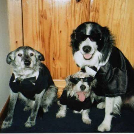 Murphey,Bob & Tizer