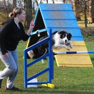 Second Chance Kennels