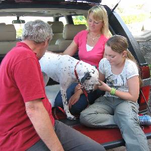 Second Chance Kennels