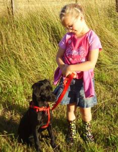 Second Chance Kennels