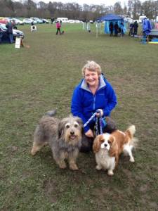 Agility at Camperdown Park.