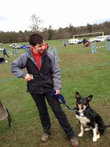 Agility at Camperdown Park.