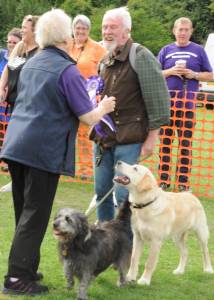 BARK in the PARK 2018 