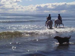 Cujo & Spike xx